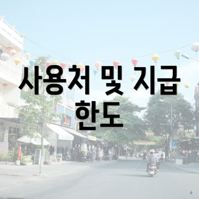 사용처 및 지급 한도