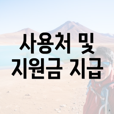 사용처 및 지원금 지급