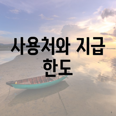 사용처와 지급 한도