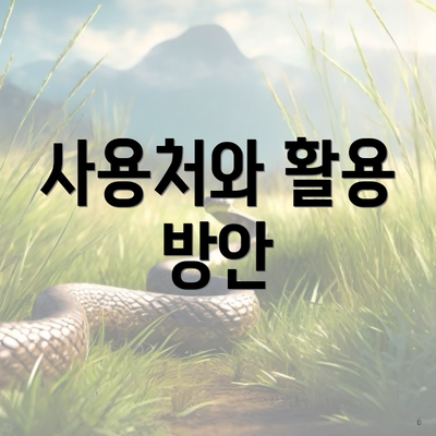 사용처와 활용 방안