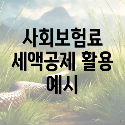 사회보험료 세액공제 활용 예시