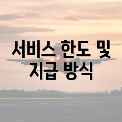 서비스 한도 및 지급 방식