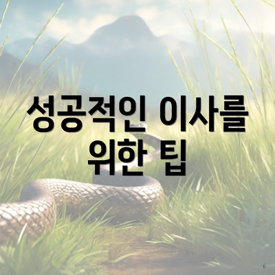 성공적인 이사를 위한 팁