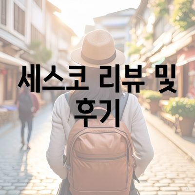 세스코 리뷰 및 후기
