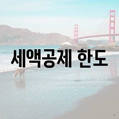 세액공제 한도