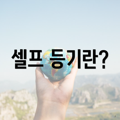 셀프 등기란?