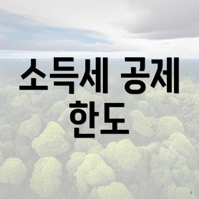 소득세 공제 한도
