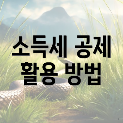소득세 공제 활용 방법