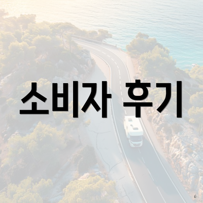 소비자 후기