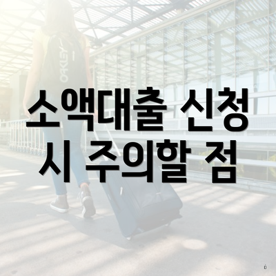 소액대출 신청 시 주의할 점