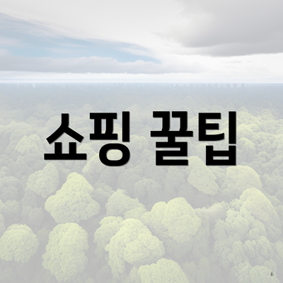 쇼핑 꿀팁