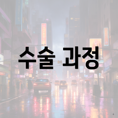 수술 과정