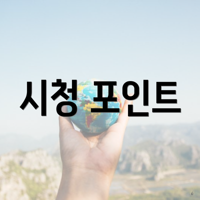 시청 포인트