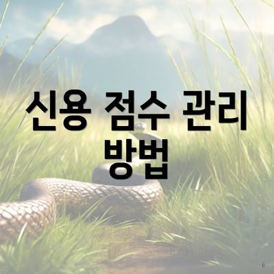 신용 점수 관리 방법