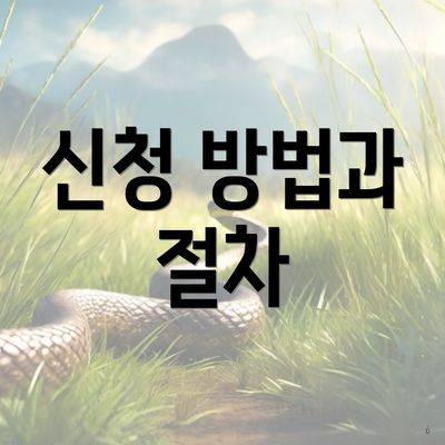 신청 방법과 절차