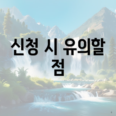 신청 시 유의할 점