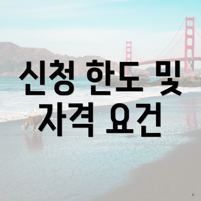 신청 한도 및 자격 요건