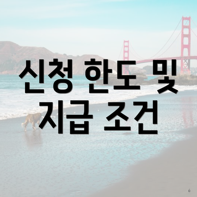 신청 한도 및 지급 조건