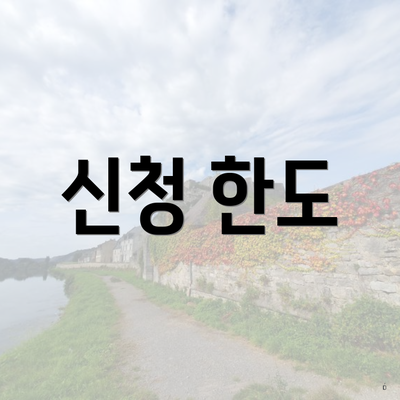 신청 한도