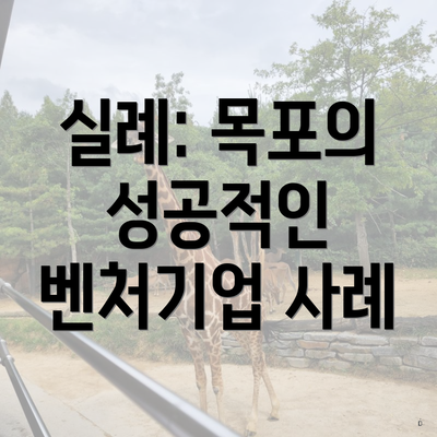실례: 목포의 성공적인 벤처기업 사례