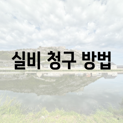 실비 청구 방법
