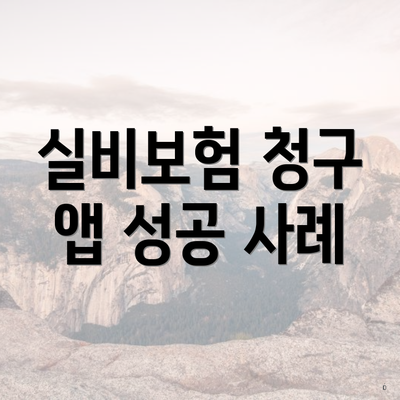 실비보험 청구 앱 성공 사례