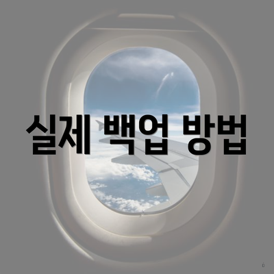 실제 백업 방법