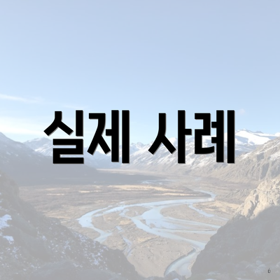 실제 사례