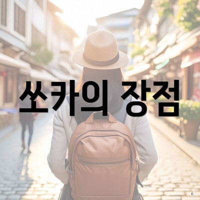 쏘카의 장점