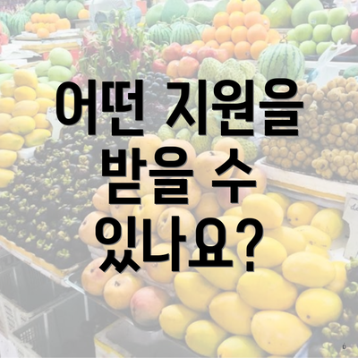 어떤 지원을 받을 수 있나요?