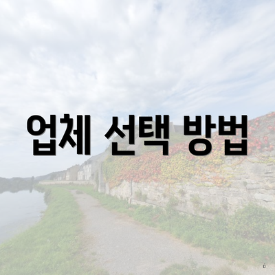 업체 선택 방법