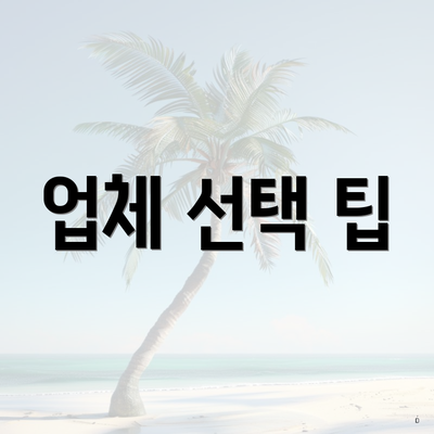 업체 선택 팁