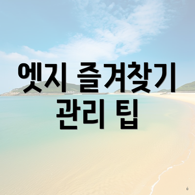 엣지 즐겨찾기 관리 팁