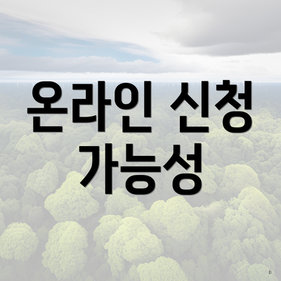 온라인 신청 가능성