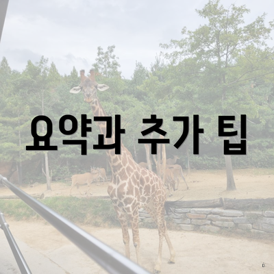 요약과 추가 팁