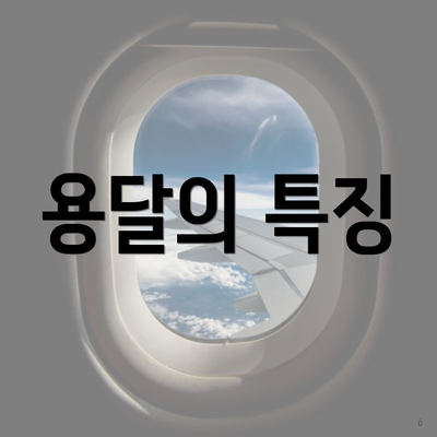 용달의 특징