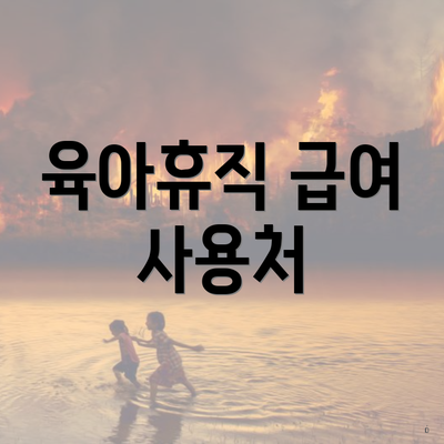 육아휴직 급여 사용처