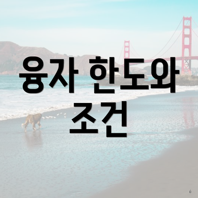 융자 한도와 조건