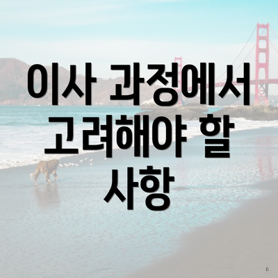 이사 과정에서 고려해야 할 사항
