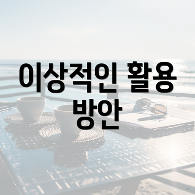 이상적인 활용 방안