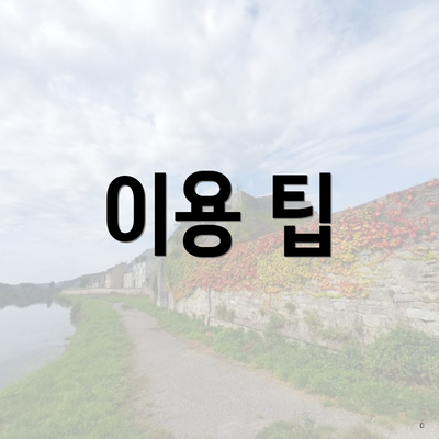 이용 팁