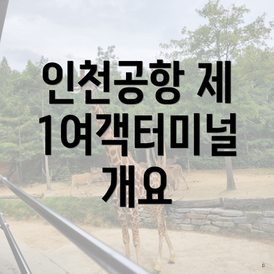인천공항 제 1여객터미널 개요
