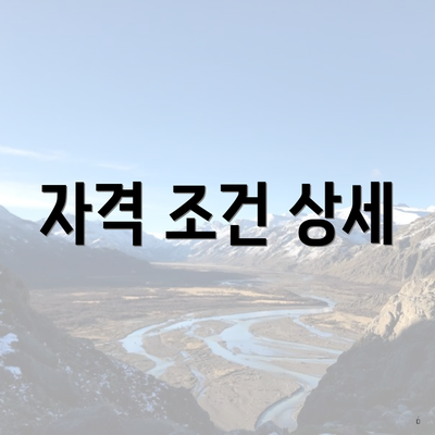 자격 조건 상세