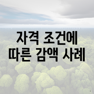 자격 조건에 따른 감액 사례