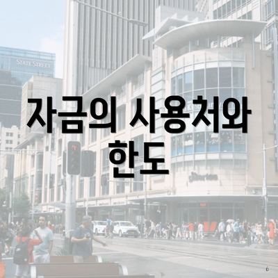 자금의 사용처와 한도