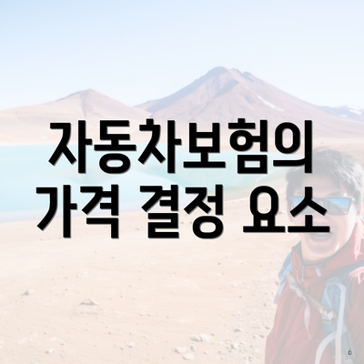 자동차보험의 가격 결정 요소