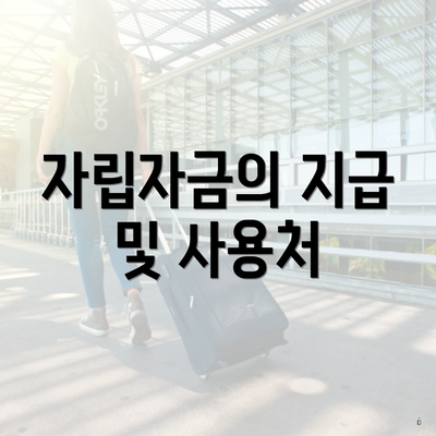 자립자금의 지급 및 사용처