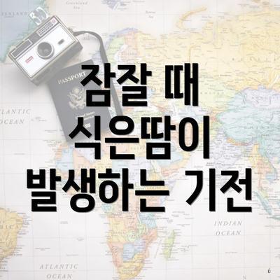 잠잘 때 식은땀이 발생하는 기전