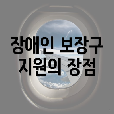 장애인 보장구 지원의 장점