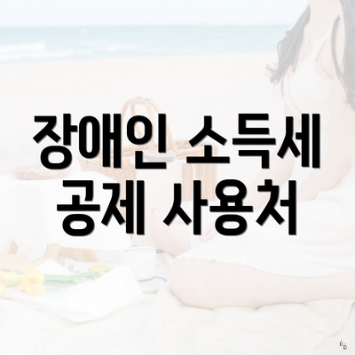 장애인 소득세 공제 사용처